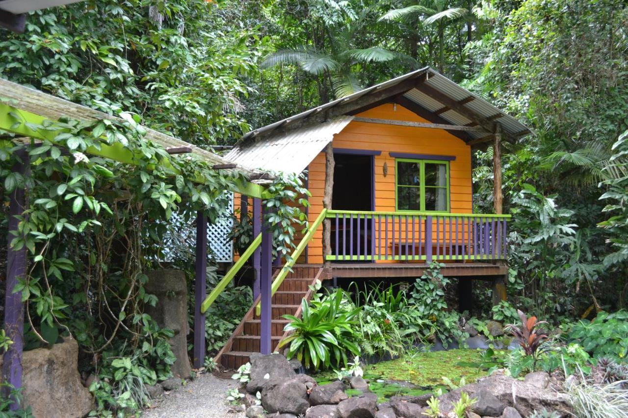 Rainforest Hideaway Cape Tribulation Exterior foto