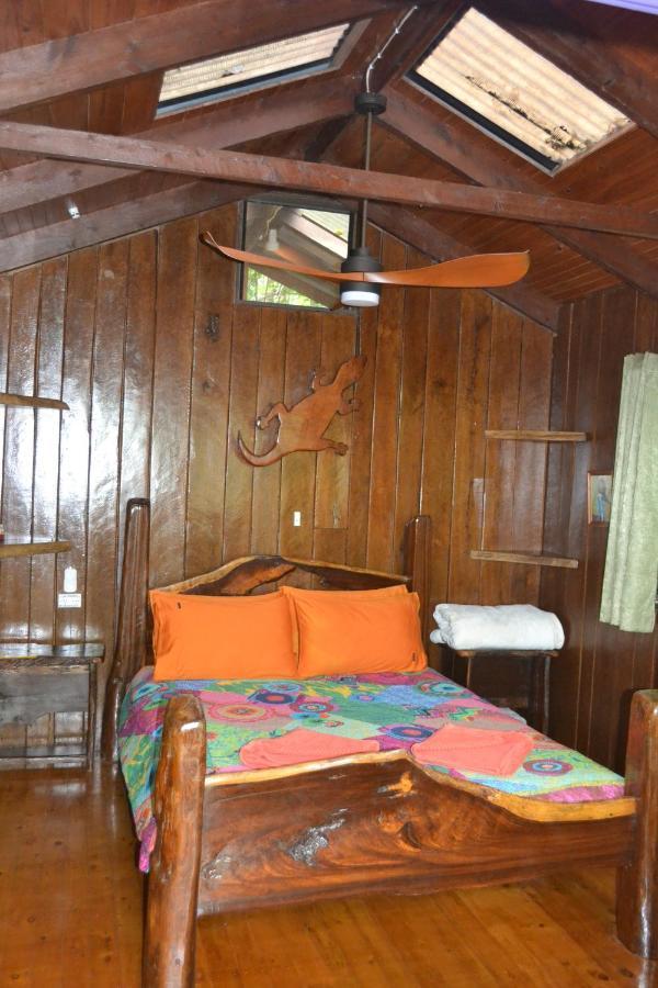 Rainforest Hideaway Cape Tribulation Exterior foto
