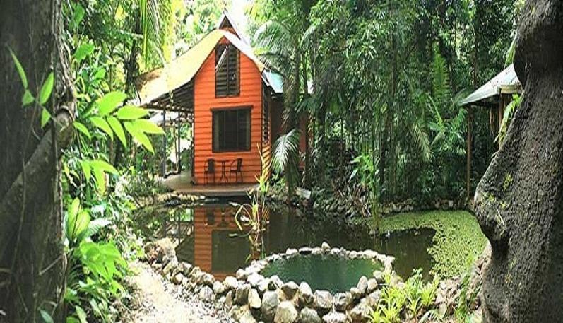 Rainforest Hideaway Cape Tribulation Habitación foto