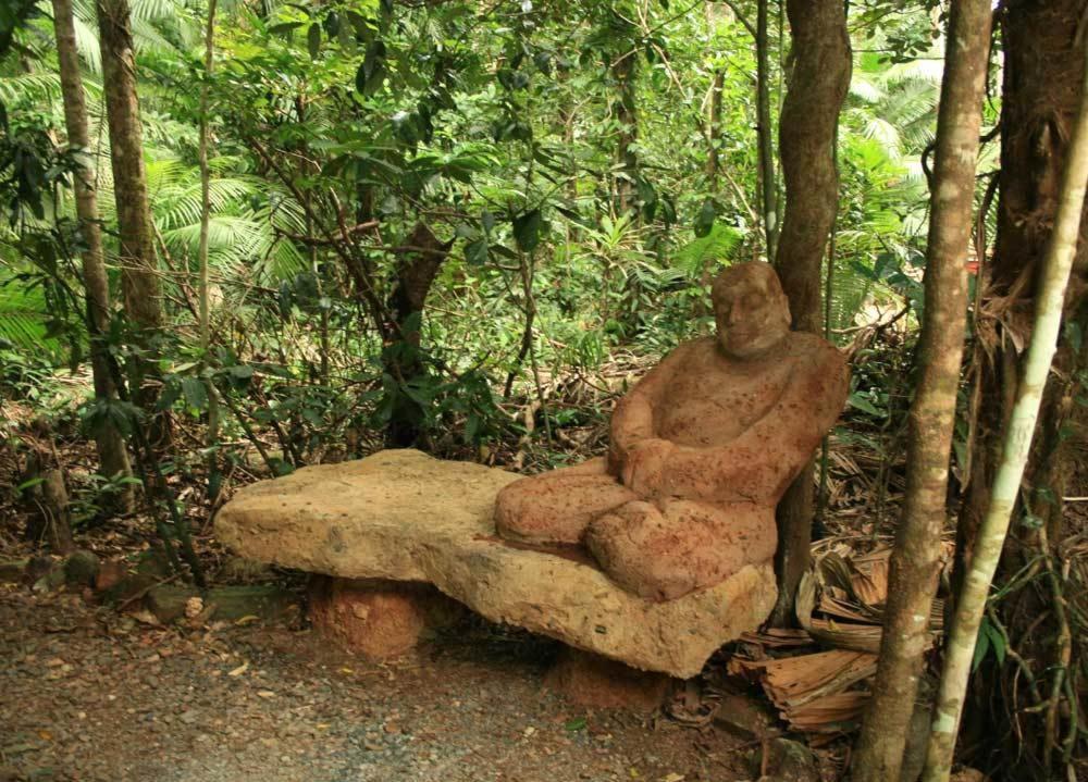 Rainforest Hideaway Cape Tribulation Exterior foto