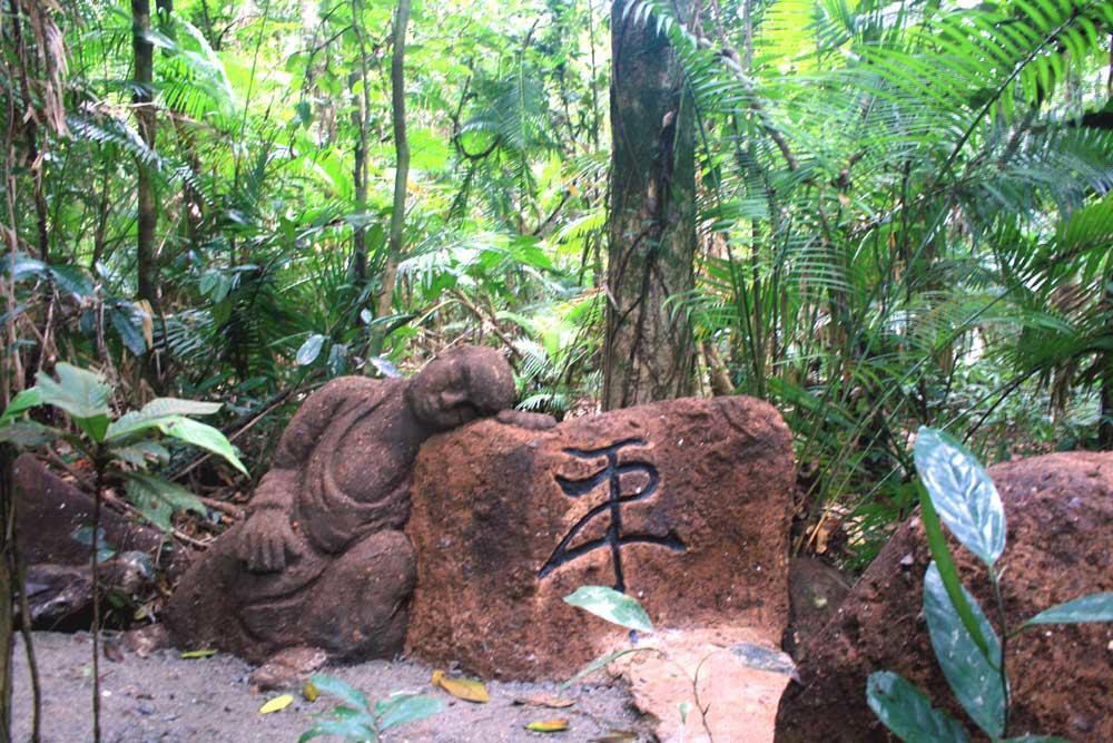 Rainforest Hideaway Cape Tribulation Exterior foto